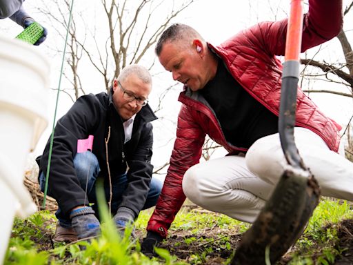 Des Moines' Strasser Woods, a deteriorating forest preserve, to get 750 new trees