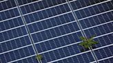 White House moves to protect US solar manufacturers from Chinese competition