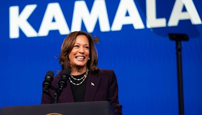 Business leaders and billionaires endorsing Kamala Harris as Dem nominee