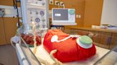 It Is Too Soon for Clinical Trials on Artificial Wombs