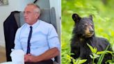 RFK Jr says he dumped a dead bear cub in Central Park for one chilling reason