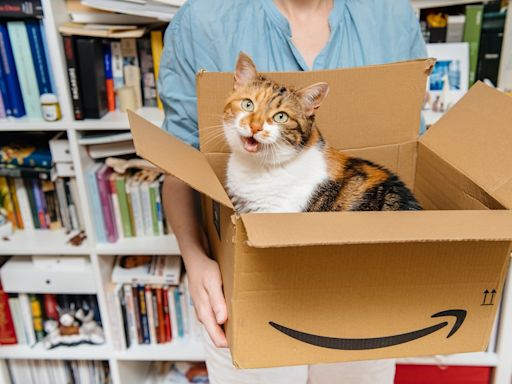 Amazon Prime Day's Massive Cat Tower Complete with Caves and Hammocks Is a Kittie's Dream