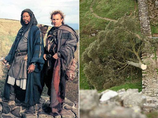 2 Men Charged with Chopping Down Iconic Sycamore Tree Featured in Kevin Costner's “Robin Hood ”Film