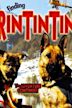 Las nuevas aventuras de Rin Tin Tin