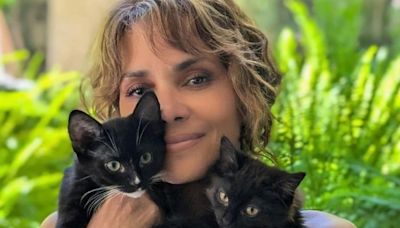 Halle Berry’s ‘Catwoman’ role took her from lifelong dog fan to cat lover