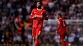 Referee explains why Joe Gomez high kick in Liverpool vs Tottenham wasn't penalty