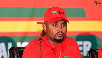 EFF's Dunga returns as Ekurhuleni Finance MMC