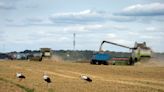 "Many may die," U.N. warns after Russia pulls out of grain deal