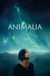 Animalia