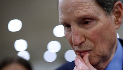 I Truly Wish Ron Wyden's SCOTUS Reform Bill Luck