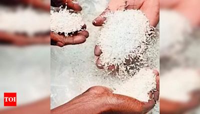 BJP alleges Rs 120cr scam in Anna Bhagya rice procurement | Bengaluru News - Times of India