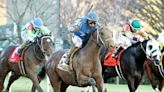 Catching Freedom runs into Kentucky Derby picture with New Year's Day win