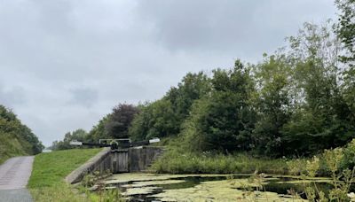 People urged to avoid parts of canal after cyanide spill