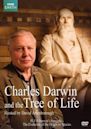 Charles Darwin y el Árbol de la Vida