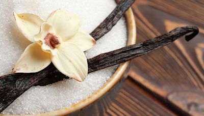Solution Found for Lack of Natural Vanilla: A Way to Create it from Plant Waste in One Step