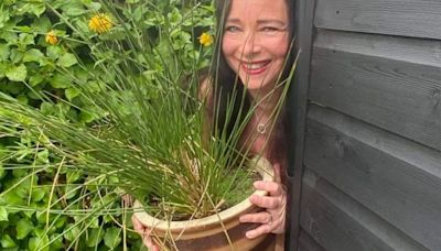 I paid £2K to turn my garden into an oasis, trolls dub it a 'Shein car crash'