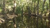 Crocodiles cannot outnumber people in Australian territory where girl was killed, leader says