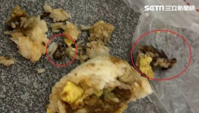 女子咬飯糰脆脆又爆汁「整隻蟑螂屍」包進去引厭食 業者反控敲竹槓