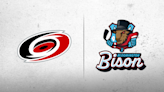 Canes Announce Working Agreement With Bloomington Bison | Carolina Hurricanes