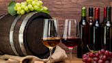 Guanajuato se convertirá en el escaparate vitivinícola mundial