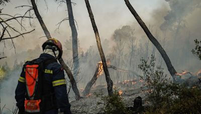 Greece Evacuates Hospital as Wildfire Threatens City of Patra