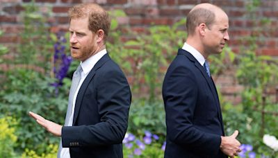 Prince William, Prince Harry's royal cousins hold key to rescue monarchy from warring brothers: experts