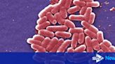 'Decline' in E. coli outbreak as half of cases in hospital