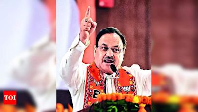 ‘we Talk Development’: Nadda At Intellectuals’ Meet In Panchkula | Chandigarh News - Times of India