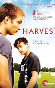 The Harvest