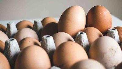 雞蛋有助預防認知障礙、抑制致癌物質！營養師推薦一種食法吸收率達99%！每日最多食幾多隻？ | 健康解「迷」 - 醫學通識 - 健康好人生 | etnet 經濟通|香港新聞財經資訊和生活平台