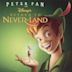 Disney's Return to Never Land (Original Soundtrack)