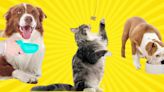 34 Pet Products That Reviewers Say Are 'Lifesavers'