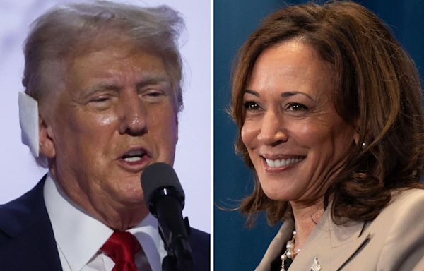 How Kamala Harris' approval rating compares to Donald Trump's