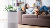 Amazon just slashed prices on these fancy air purifiers for its Prime Early Access Sale