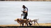 We’re multitasking while walking our dogs. Animal experts say this is a problem