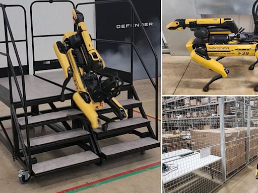 Never work with animals! Boston Dynamics' dog falls down stairs