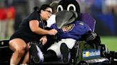 Baltimore Ravens Mascot Suffers Injury From Fall During Halftime Event