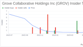 Insider Sell: Christopher Clark Sells 15,000 Shares of Grove Collaborative Holdings Inc (GROV)