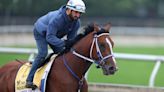 Kentucky Derby winner Mystik Dan takes on 7 other horses in the 149th Preakness