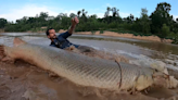 Massive alligator gars lurk in the Trinity River. Here’s how to get a shot at hooking one