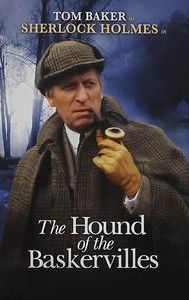 Hound of the Baskervilles