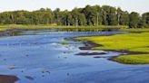 How Civilian Conservation Corps pumped much needed cash into Sussex County