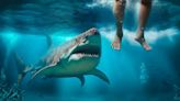 Ataques de tiburón a personas van en aumento; la mayoría son ‘mordeduras de prueba’