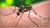 Zika virus in Pune: What are symptoms and what should pregnant women watch out for?