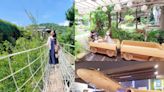 台中｜全新亮點大飛機、樹屋溜滑梯、蕾絲步道超夢幻！【紙箱王創意園區】