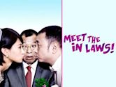 Meet the In-Laws (2012 film)