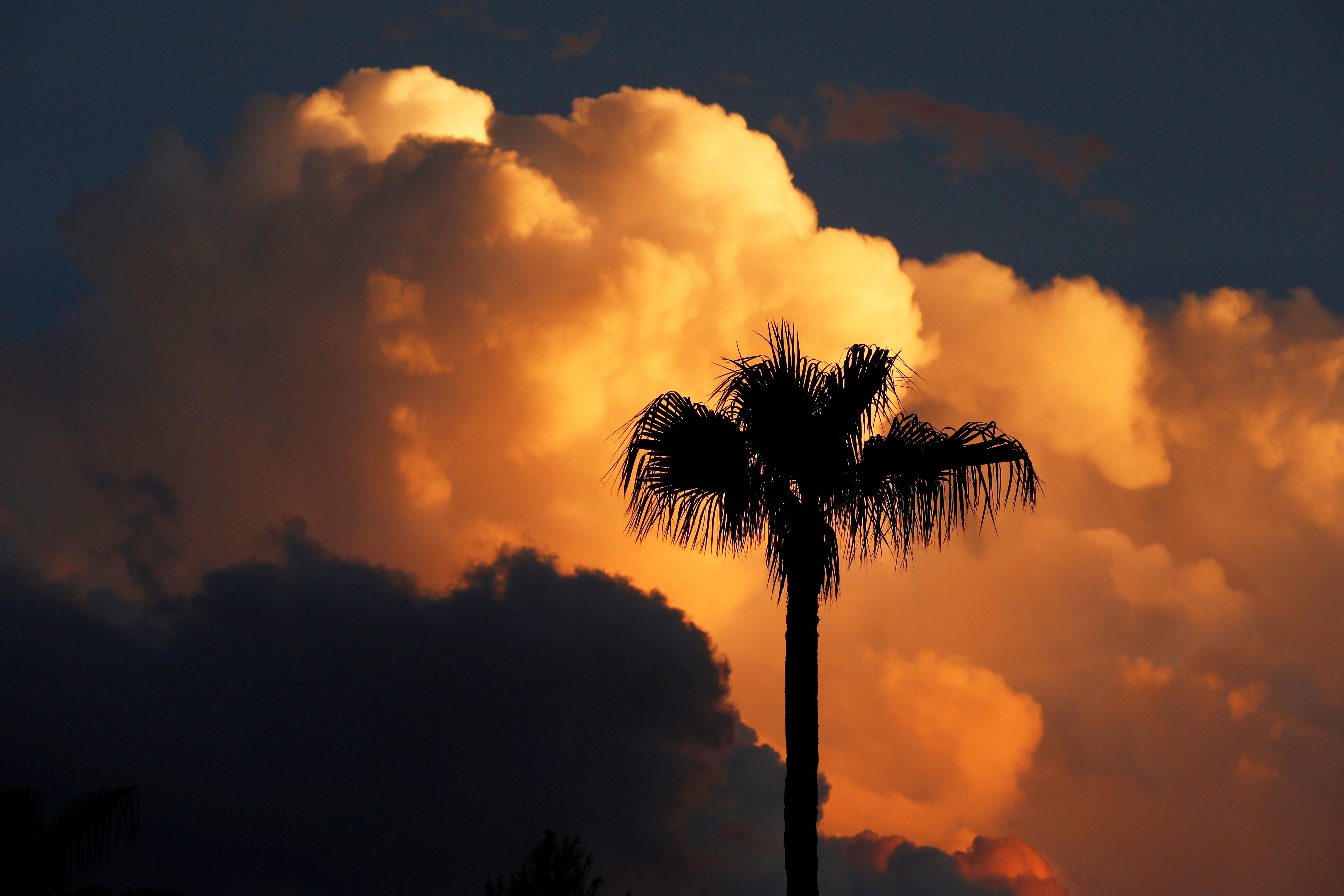 2024 monsoon season has been wetter than expected. What can Arizona expect in August?