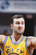 Andrew Bogut