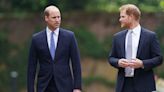 Prince Harry “Declined” a Close Friend’s Wedding Invite to Avoid Seeing Prince William: “It Would Just Be Too Awkward”