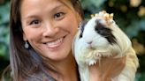 Mum becomes internet hit turning her guinea pigs into witches, weightlifters and wizards